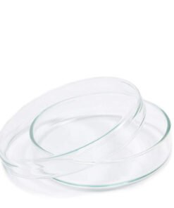 Petri Dishes x 10